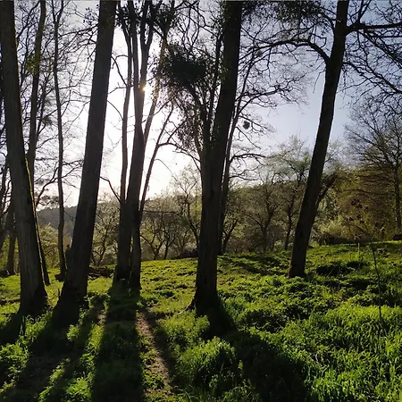 럭셔리텐트 Insolite Du Reveur Pagny-Sur-Moselle