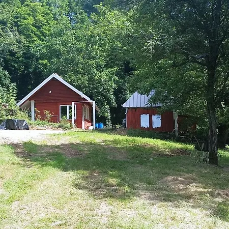 Insolite Du Reveur *