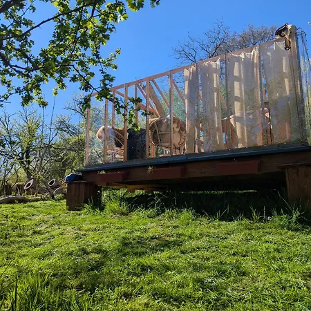 Insolite Du Reveur *