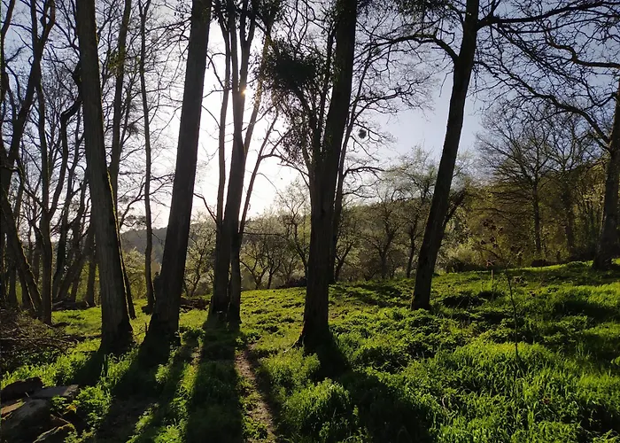 豪华帐篷 Insolite Du Reveur Pagny-Sur-Moselle