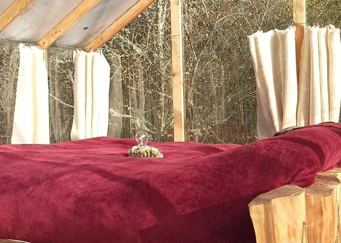 Insolite Du Reveur *