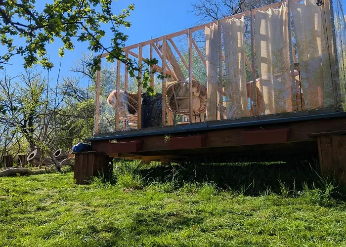 Insolite Du Rêveur *