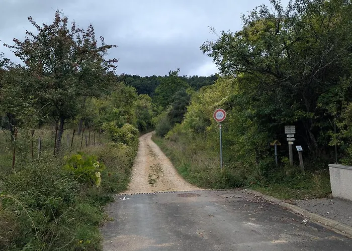Insolite Du Reveur 럭셔리텐트 *