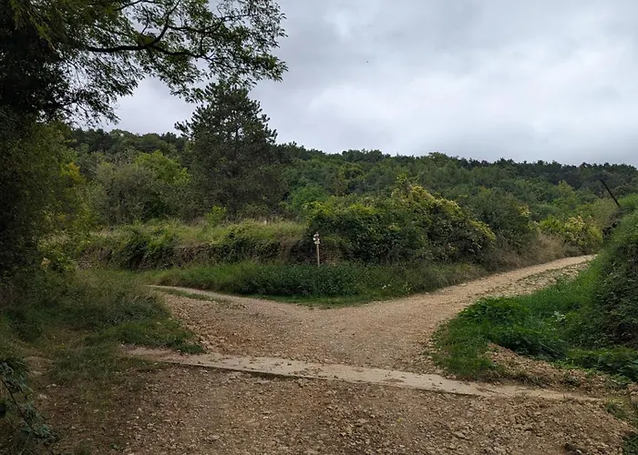 Insolite Du Reveur 럭셔리텐트 *